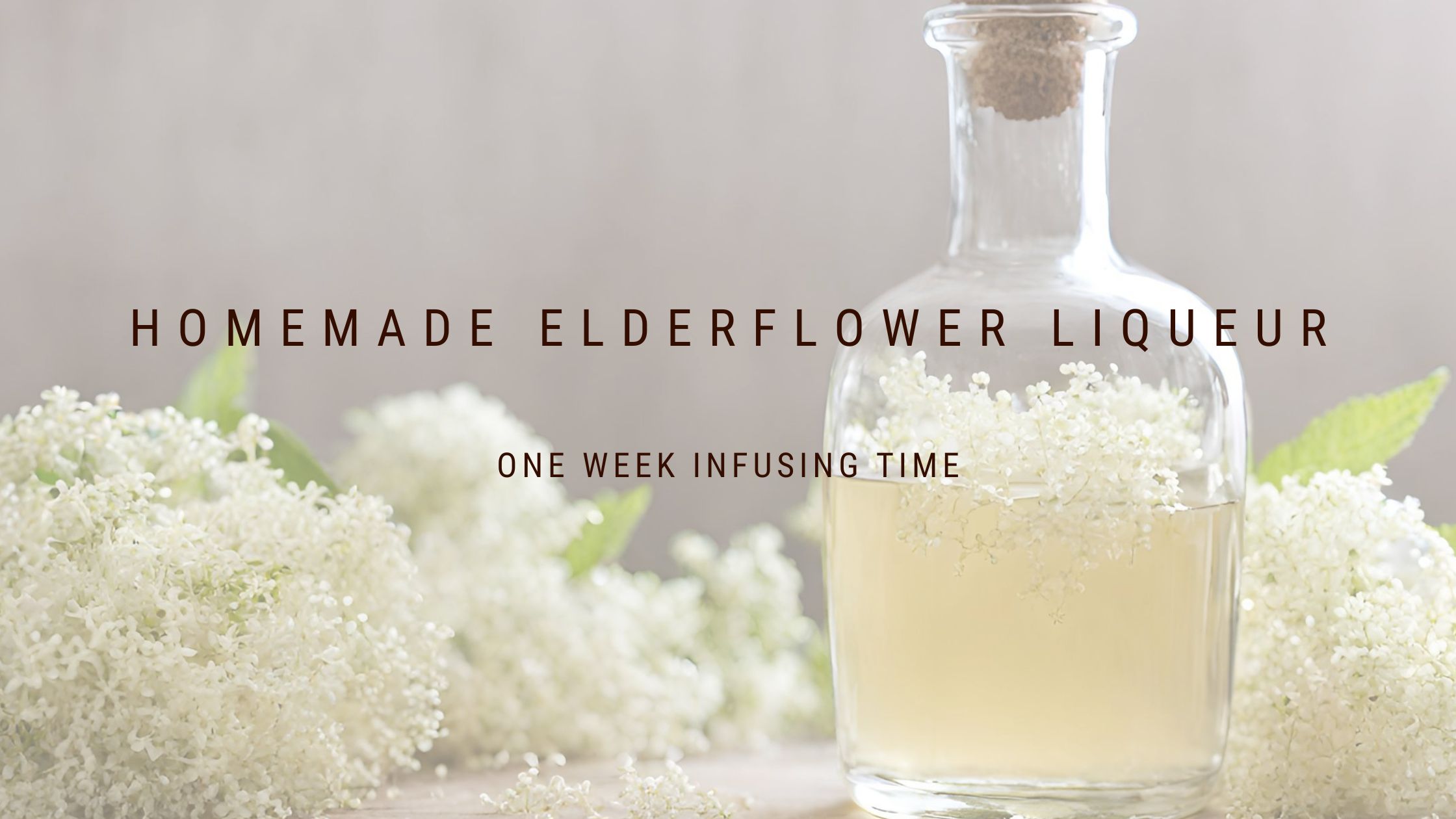 Homemade Elderflower Liqueur